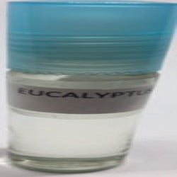 Eucalyptus :Fragrance(Perfume)Body Oil Unisex