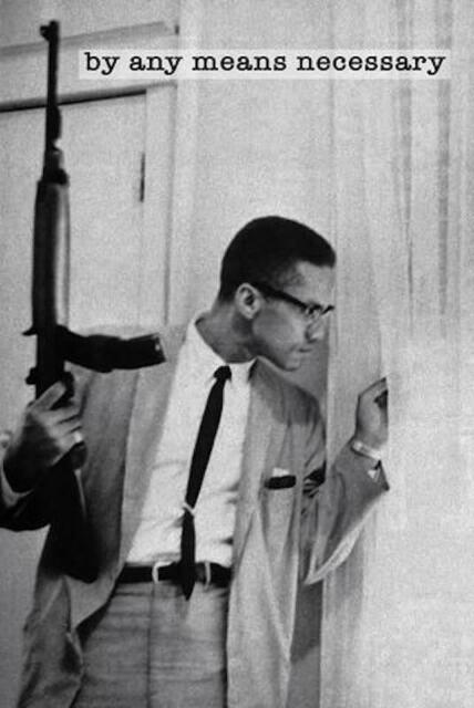 Malcolm X holding Rifle Poster Print